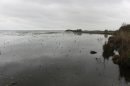 Lac de Grand-Lieu